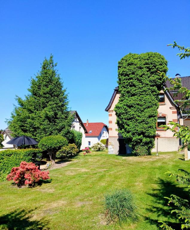 a house with a large green tree in a yard at Ferienwohnung-Heidi in Neuwilthen