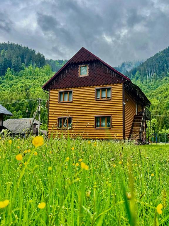 a wooden house in the middle of a field at Садиба у Софійки in Synevyrsʼka Polyana