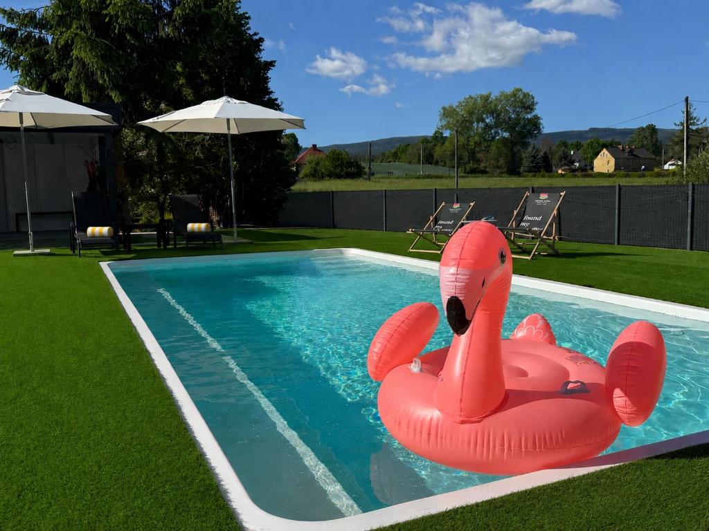 a swimming pool with a red float in the water at Serenity Garden Villas - Polanica-Zdrój in Stary Wielisław
