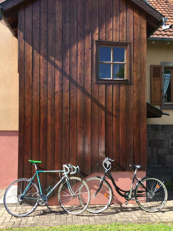 La Maison de Vacances de Colmar et son jardin – photo 31