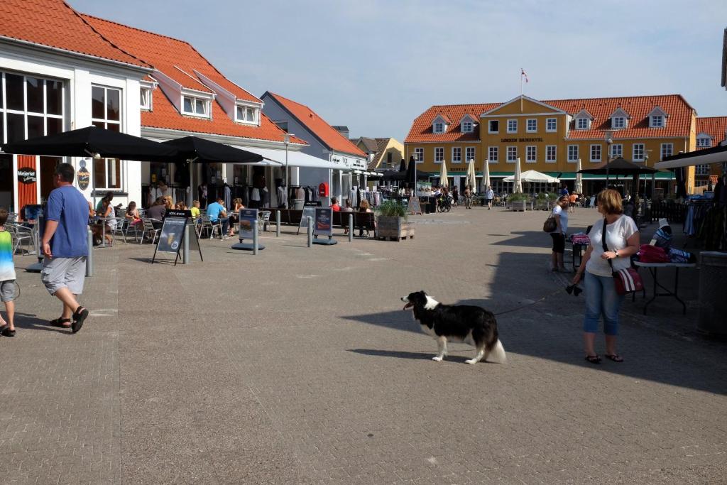 Domácí mazlíčci ubytovaní s hosty v ubytování Løkken Hostel