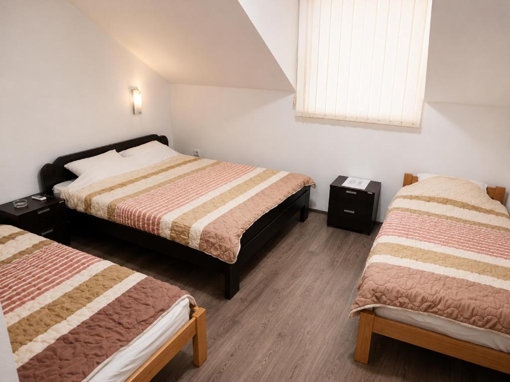 a bedroom with two beds and a window in it at Vila Radovanje in Cerovac