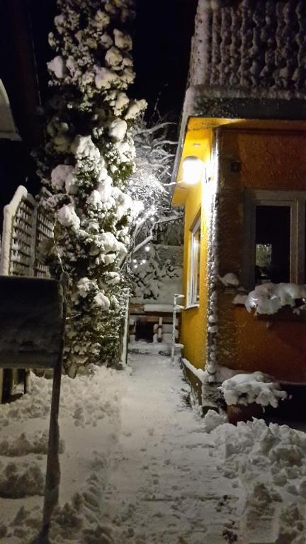 Ferienwohnung Rathke v zimě