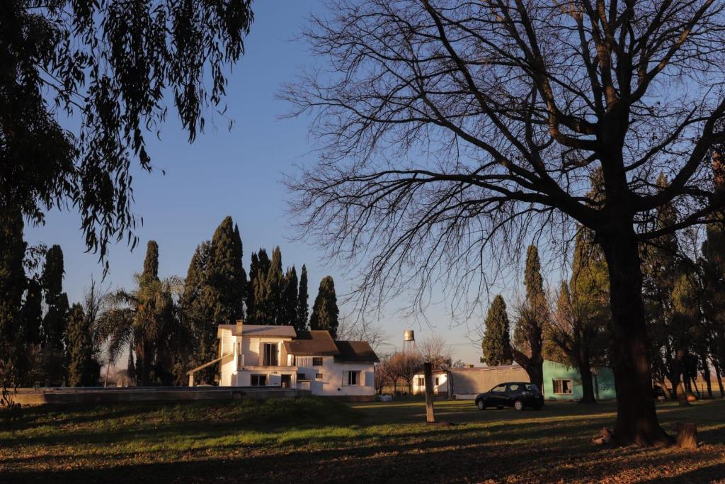 a white house with a tree in the foreground at Lo de Esther in Villa Constitución