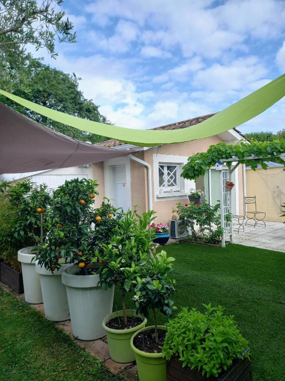 a group of potted plants in front of a house at Chambre d'hôtes du Carrousel in La Teste-de-Buch