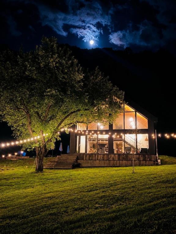 a house lit up at night with a tree at Cabana Crang in Dobra