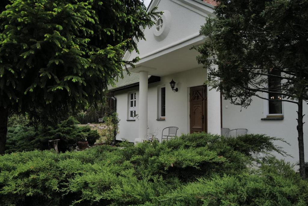 a white house with a brown door and trees at Dworek Drawa in Drezdenko