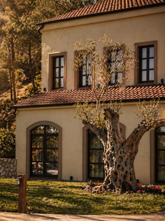 a tree in front of a house at Mugull Agrotourism Hotel in Tirana