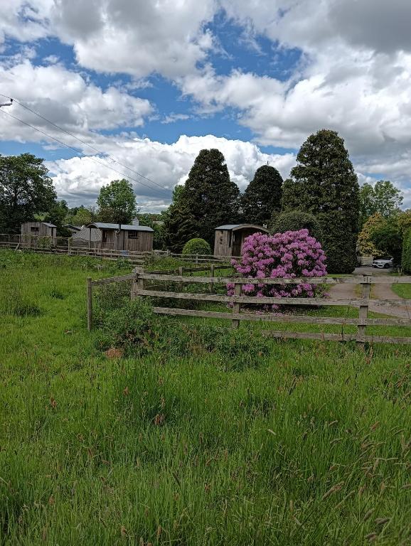 a wooden fence in a field with pink flowers at Lucker mill shepherds huts in Lucker