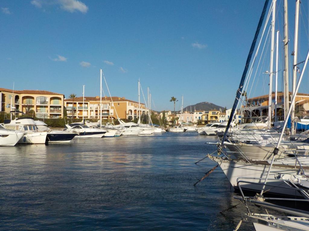 Un montón de barcos están atracados en un puerto deportivo. en Apartment Port Cogolin with garden view, en Grimaud