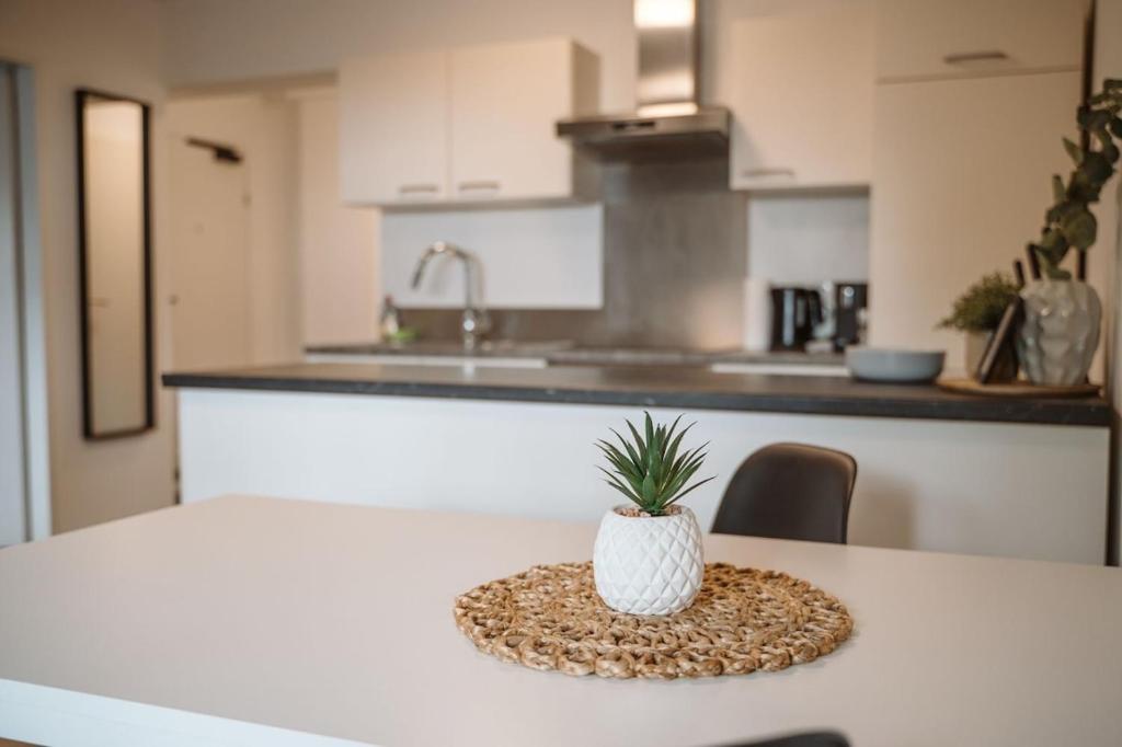 a potted plant sitting on a table in a kitchen at Wilten 1 in Innsbruck