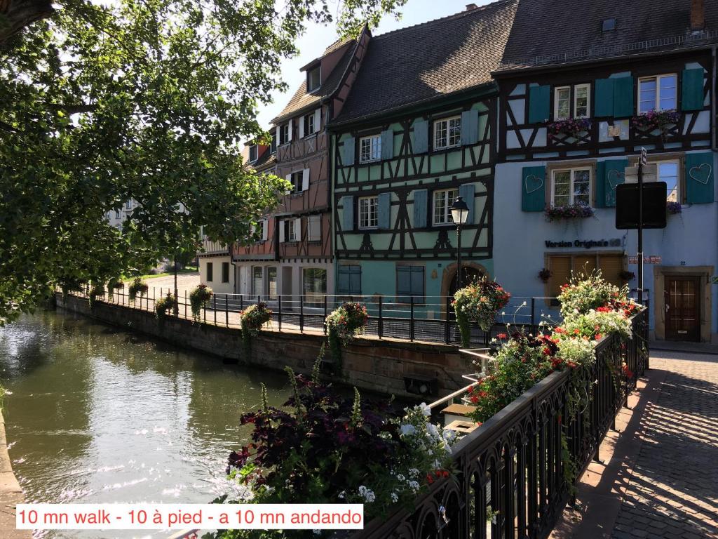 La Maison de Vacances de Colmar et son jardin – photo 35