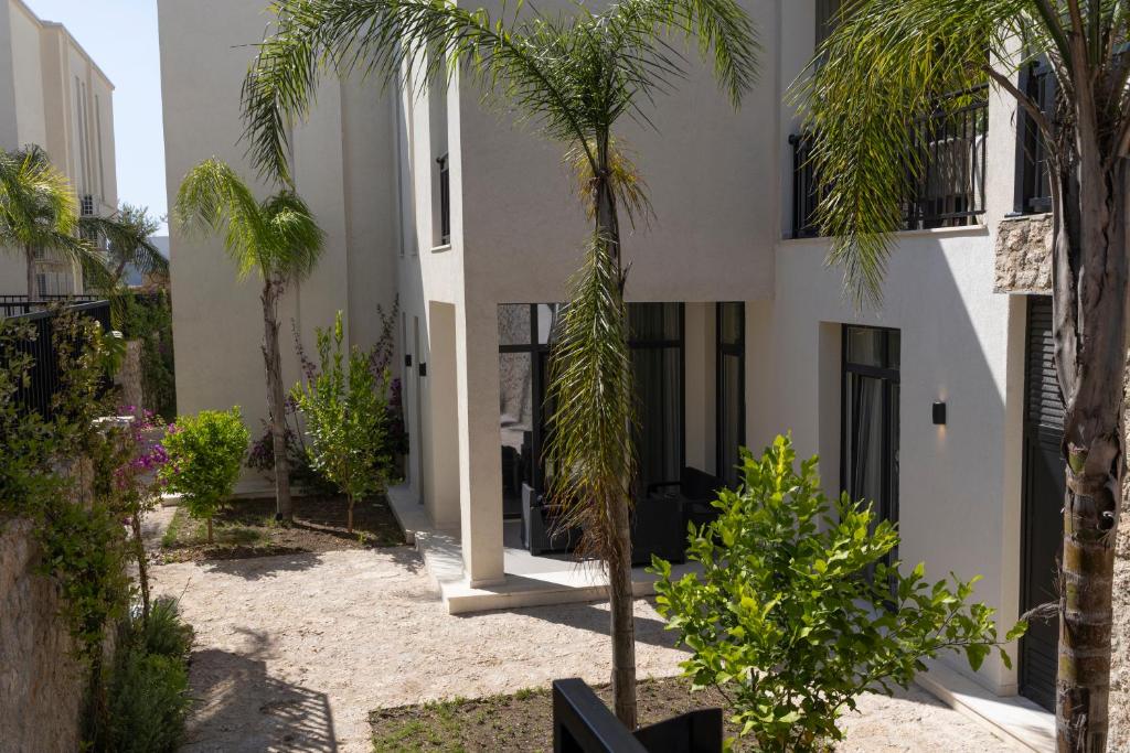 a building with palm trees in front of it at Aria Apartment 1 in Dhërmi