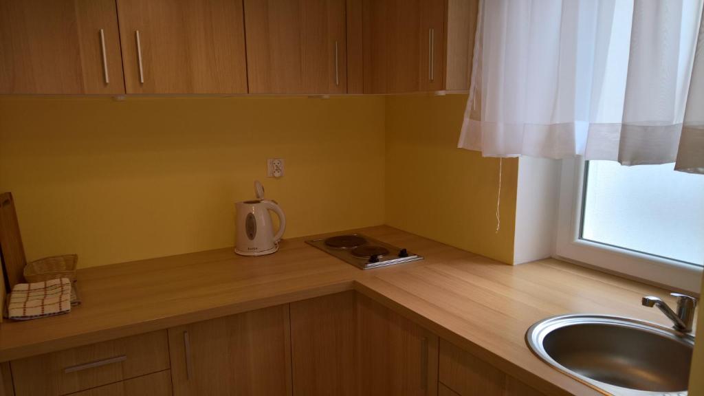 Kuchyňa alebo kuchynka v ubytovaní Apartament Posejdon Kołobrzeg