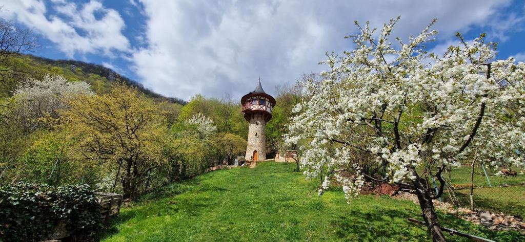 a building in the middle of a field with a tree at Veža na vlásku in Háj