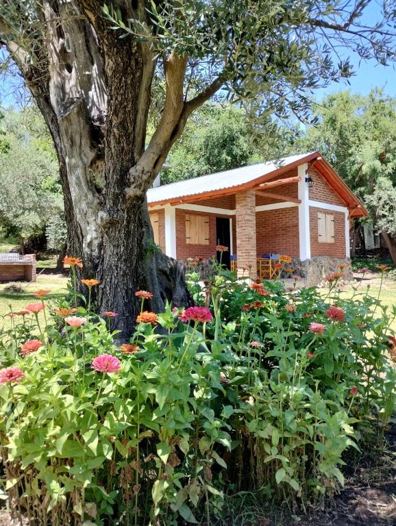 a flower garden in front of a house with a tree at Lo de Chimila in San Javier