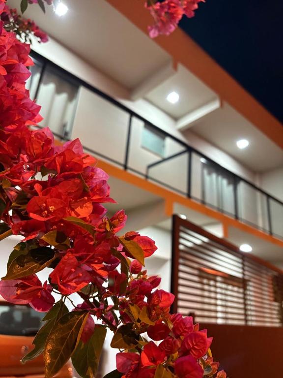 a bunch of red flowers in front of a staircase at Pousada Diamante in Piranguçu