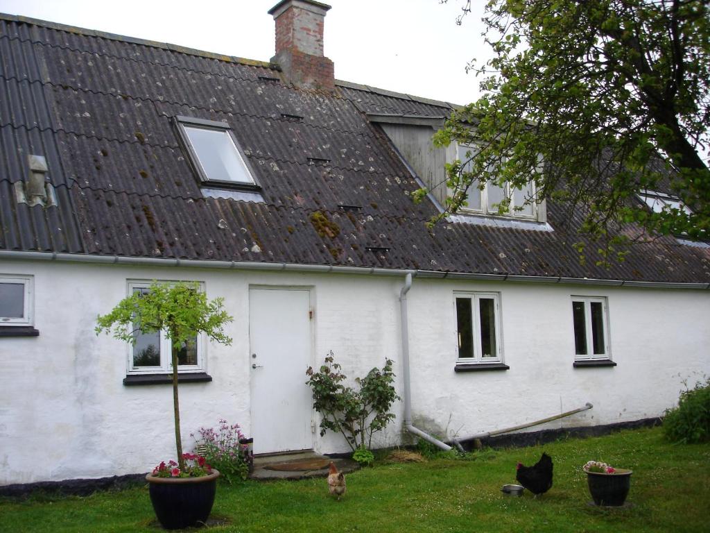 Zahrada ubytování Moen Oekologisk Bed & Breakfast