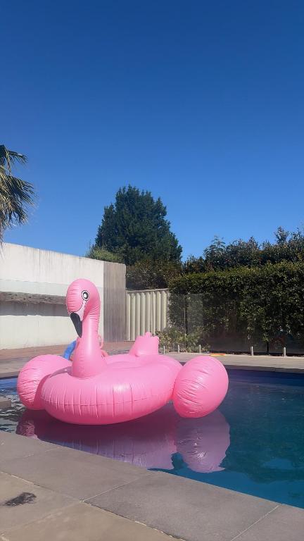a pink inflatable pink swan in a pool at Sunnyhome in Truganina