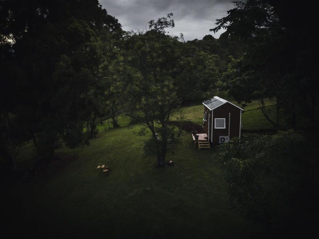 a small house in a field with a tree at Tiny Inja 1 by Tiny Away in Comleroy