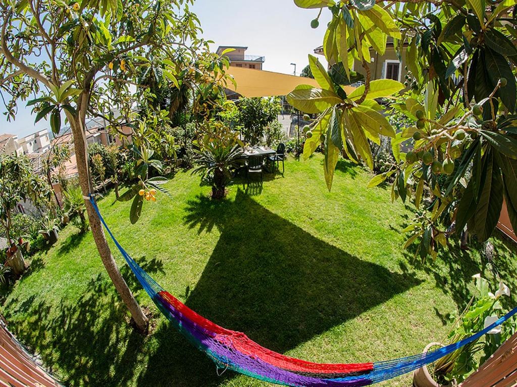 a hammock in the middle of a yard with trees at House Etna View in Mascali