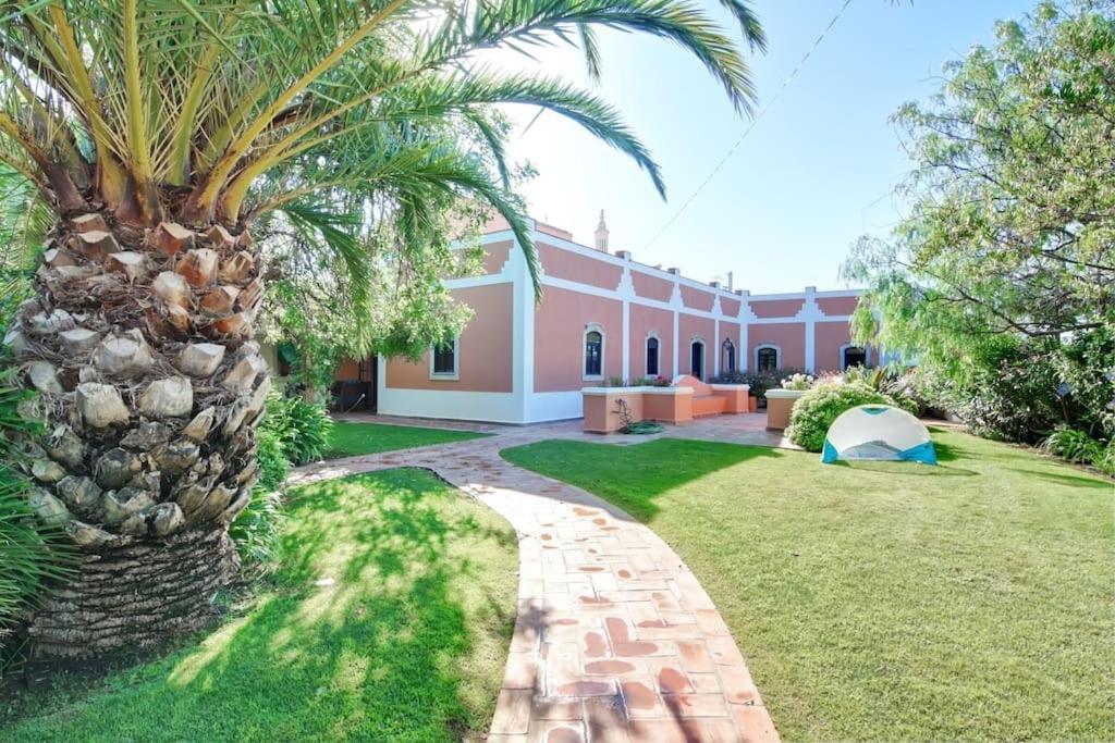 a palm tree in front of a house at Casinha Antiga in Boliqueime