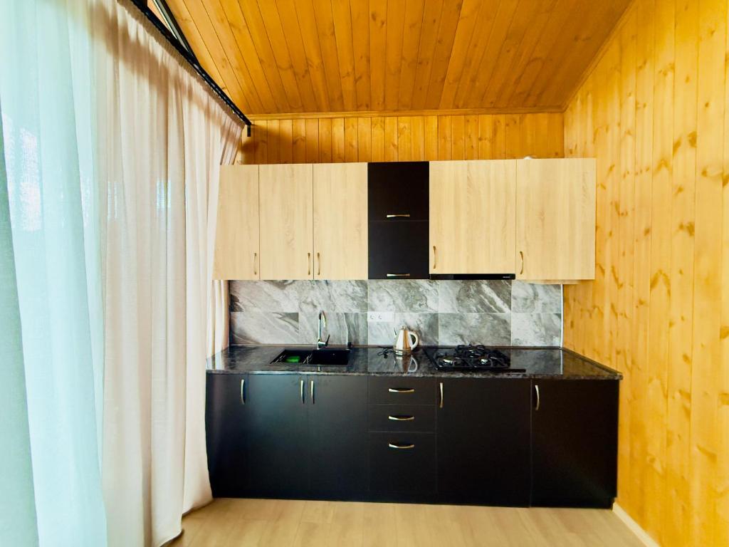 eine Küche mit schwarzer Arbeitsplatte und Holzschränken in der Unterkunft Tianuli in Tushurebi
