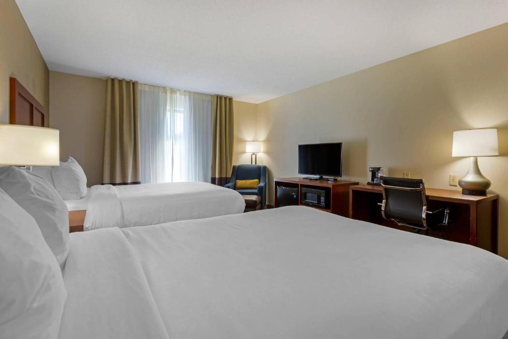 Comfort Inn & Suites Cambridge - 大号床间 - 带两张大号床 - 禁烟