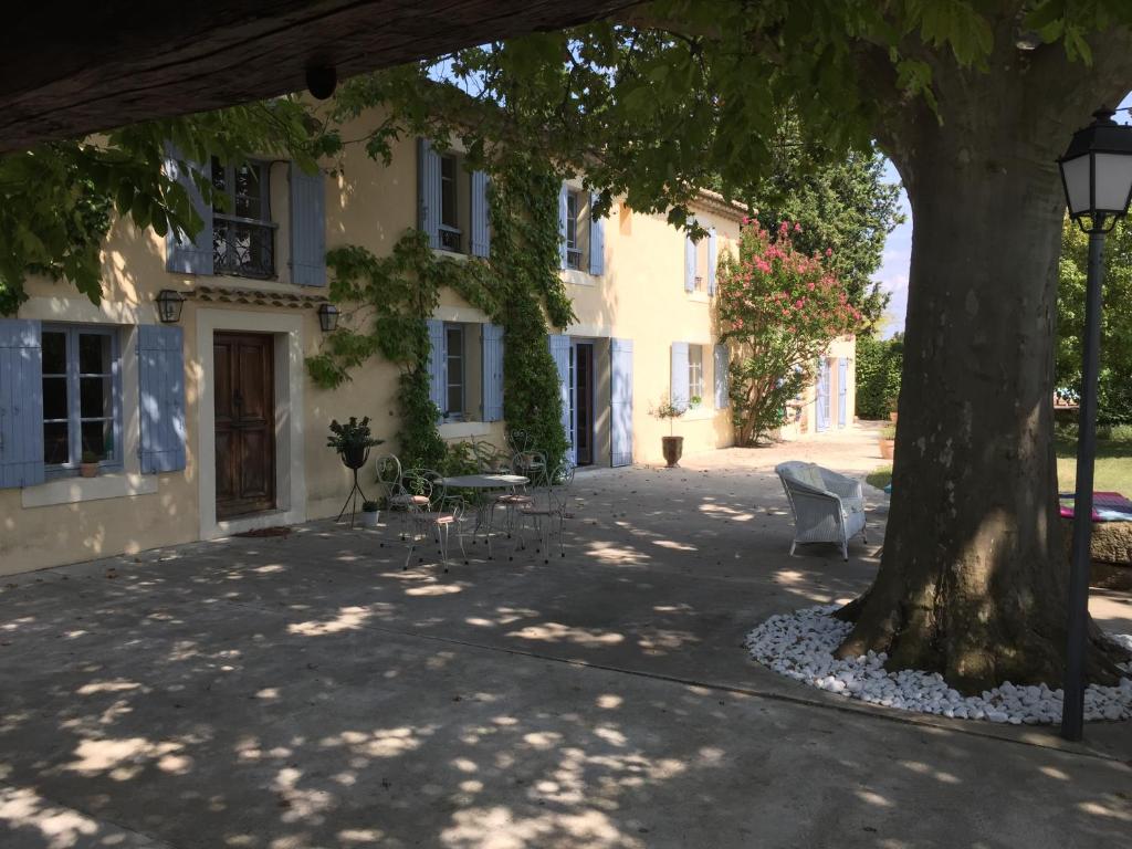 un grand arbre devant un bâtiment dans l'établissement Mas Li Doumenge, à Orange