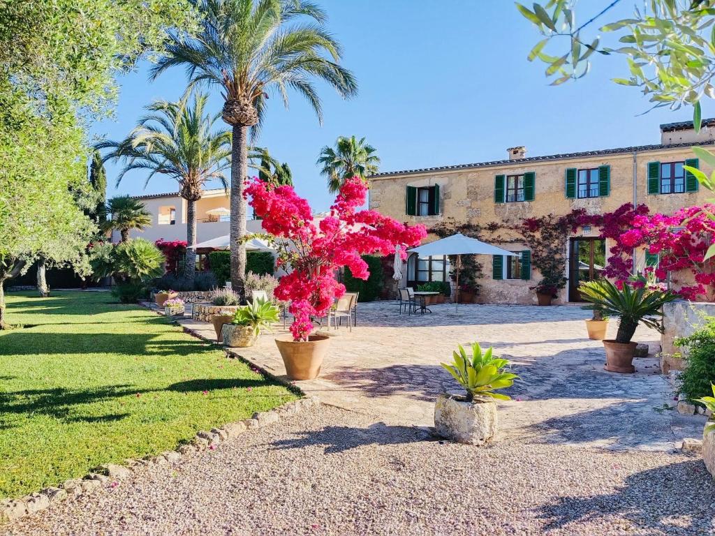 a building with palm trees and pink flowers in a courtyard at son capellot in Felanitx