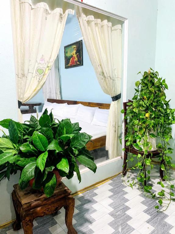 a bedroom with a bed and two potted plants at Cali Homestay Tây Ninh in Tây Ninh