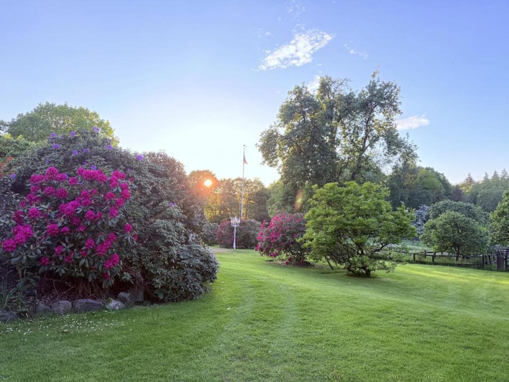 a garden with pink flowers and bushes on a lawn at Gästehaus Rosenkamp in Scharbeutz