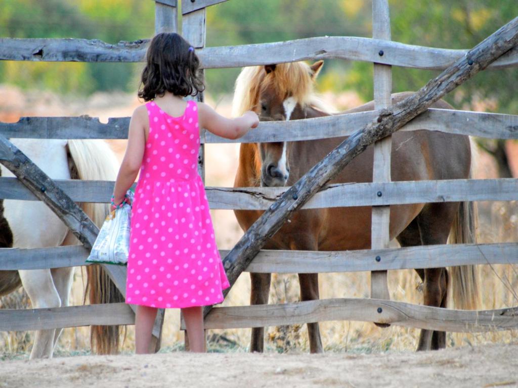 a little girl is looking at a horse through a fence at Agroturismo Finca Son Sala in Campos