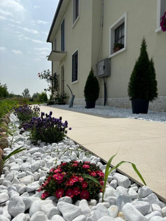 a garden of flowers in front of a building at Vigne Del Garda in Villafranca di Verona