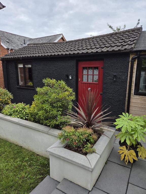 a house with a red door and some plants at Garden Lodge in Belfast