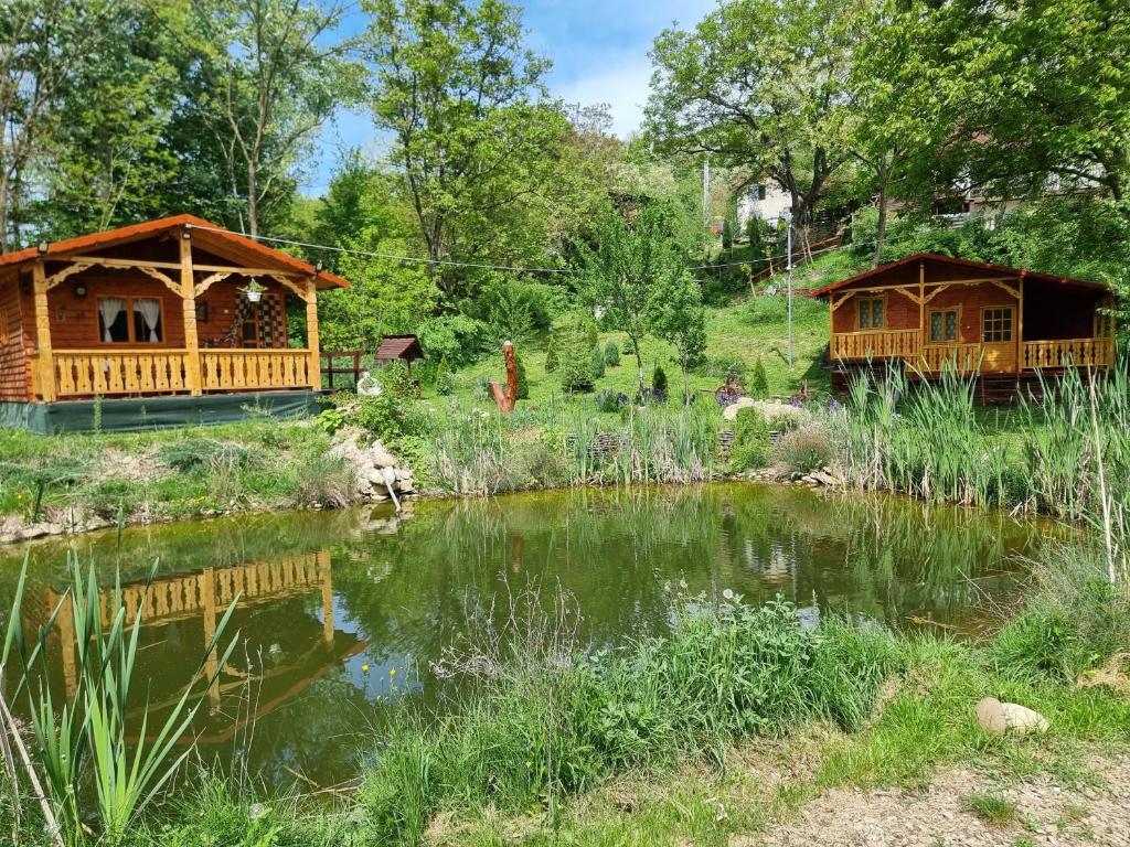 a couple of cottages next to a pond at La căsuța din poveste in Pătîrlagele