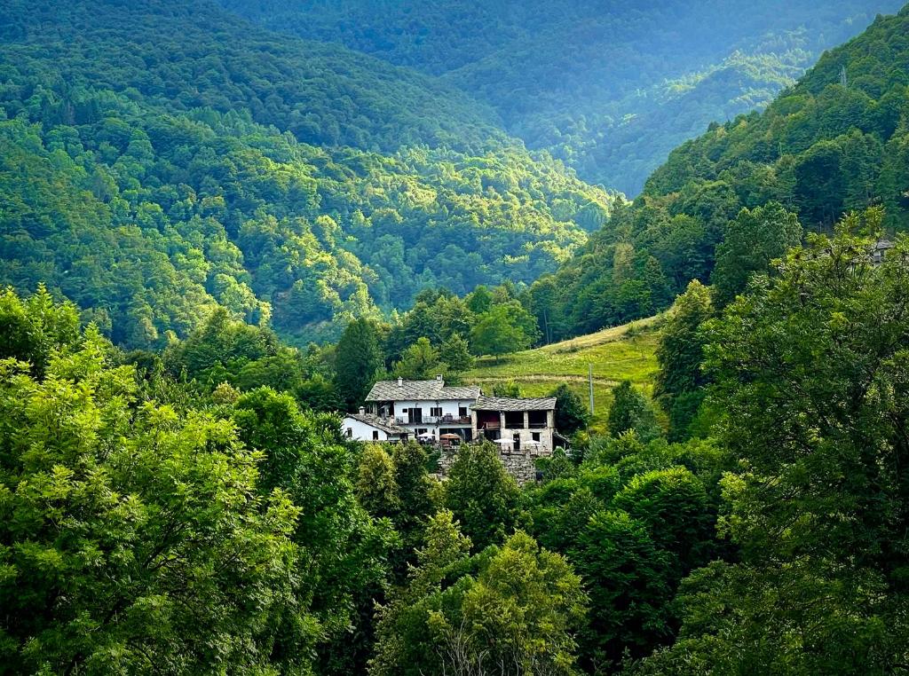 a house in the middle of a forest of trees at Stone Oven House in Rorá
