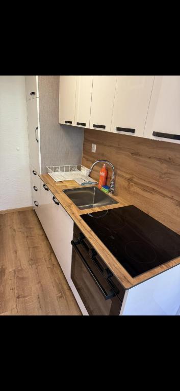 a kitchen with a sink and a counter top at Apartment MICKEY in Interlaken