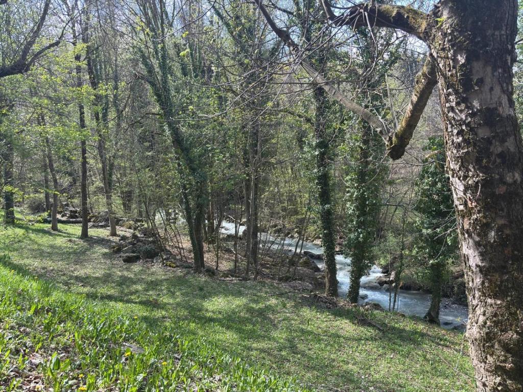 a path through a forest next to a river at Vecchio Mulino-Ceci's Flat in Entracque