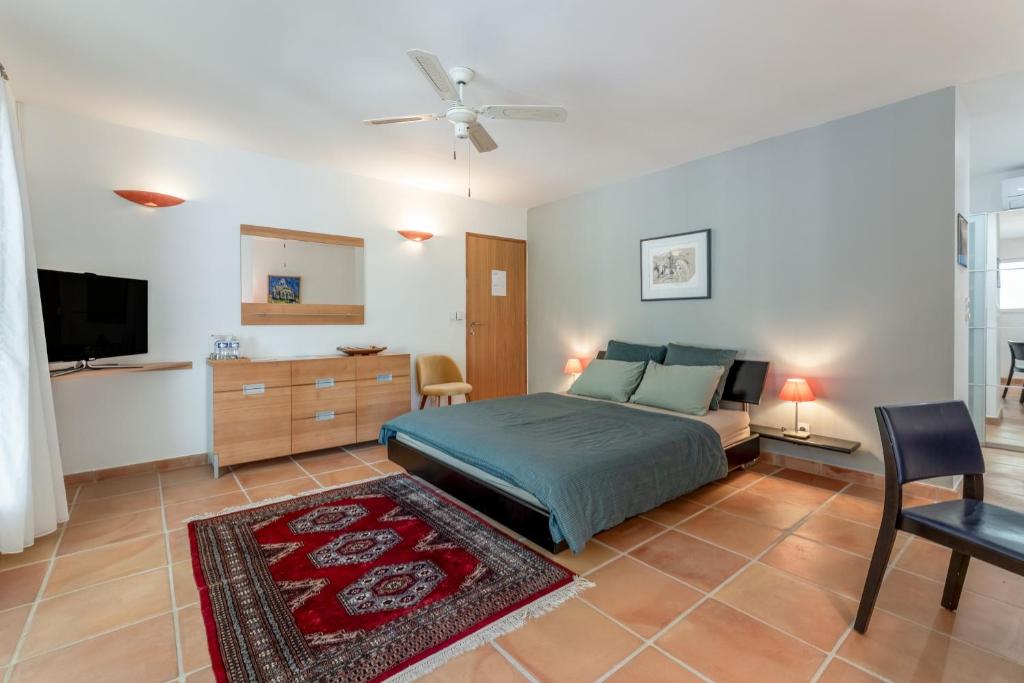 a bedroom with a bed and a flat screen tv at Chambre D'hôtes - Les Hirondelles in Mirabel-aux-Baronnies