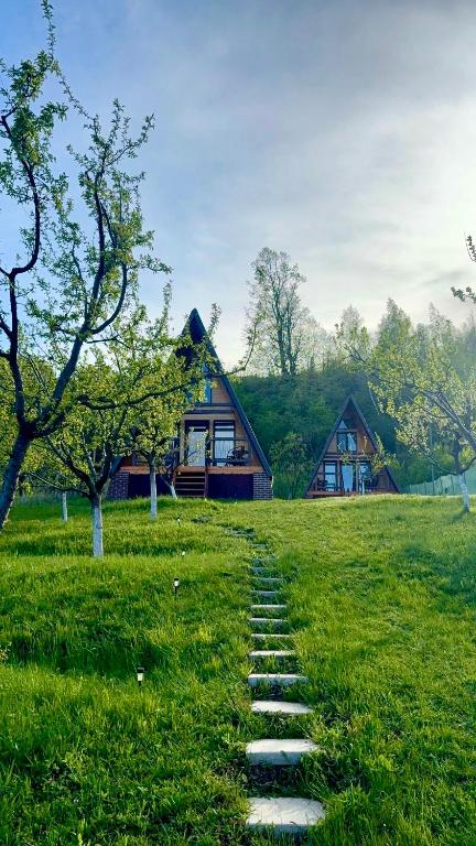 a stone path in the grass in front of a house at Căsuțele EliMar in Chirleşti