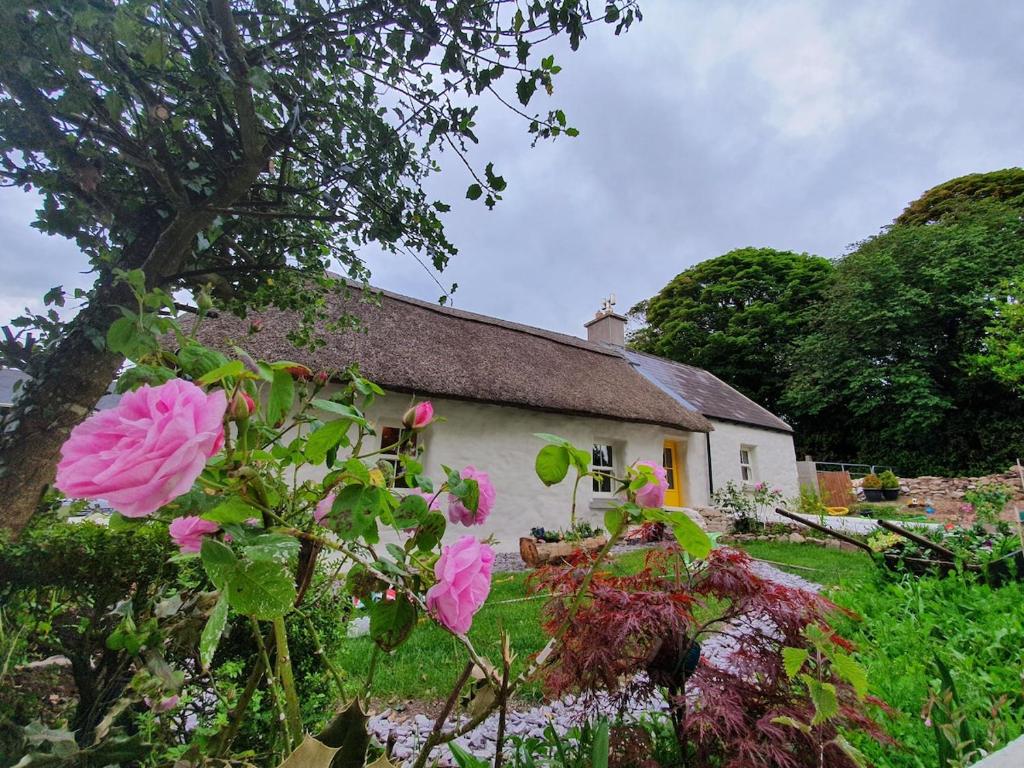 a house with pink flowers in front of it at The Thatched Cottage in Cork