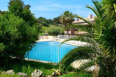 a large blue swimming pool in a yard with trees at Cozy duplexterrace barbecue pool beach on foot in Le Pradet