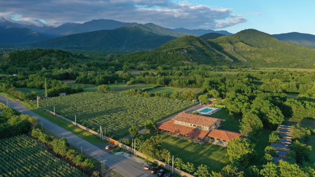 an aerial view of a vineyard with mountains in the background at Chubini Winery & Cabins in Kvareli