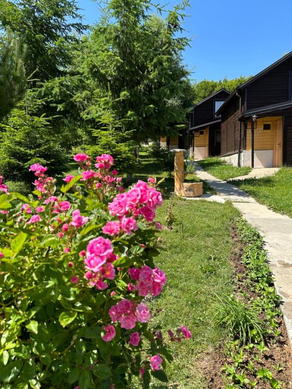 a bush of pink flowers in a yard at Stanetestruzhes in Prizren
