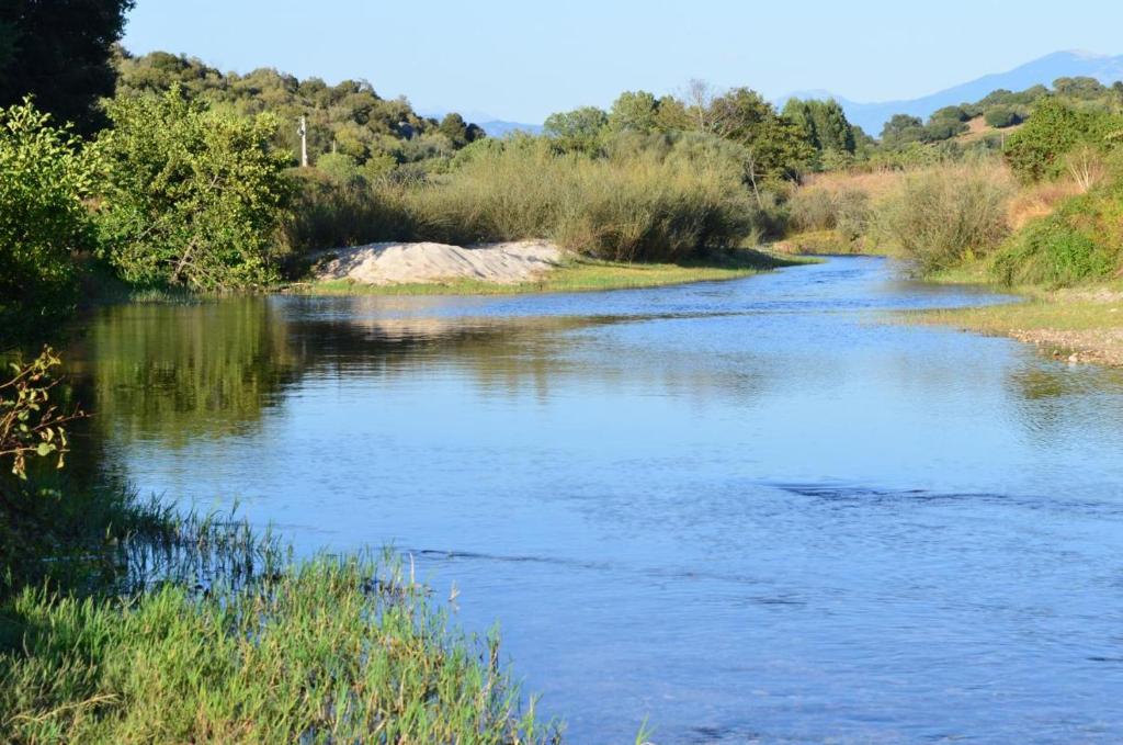 a river with trees and grass on the side at Capriono in Serra-di-Ferro