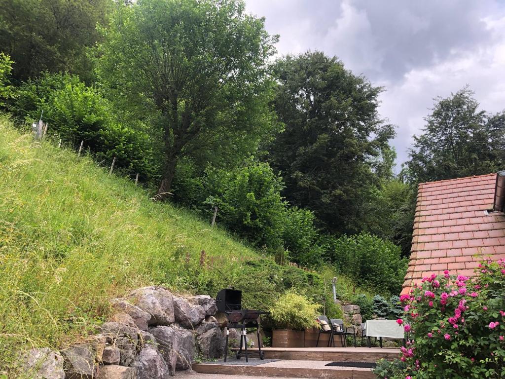 a garden with benches and a hill with trees at Locdecharme in Les Clefs
