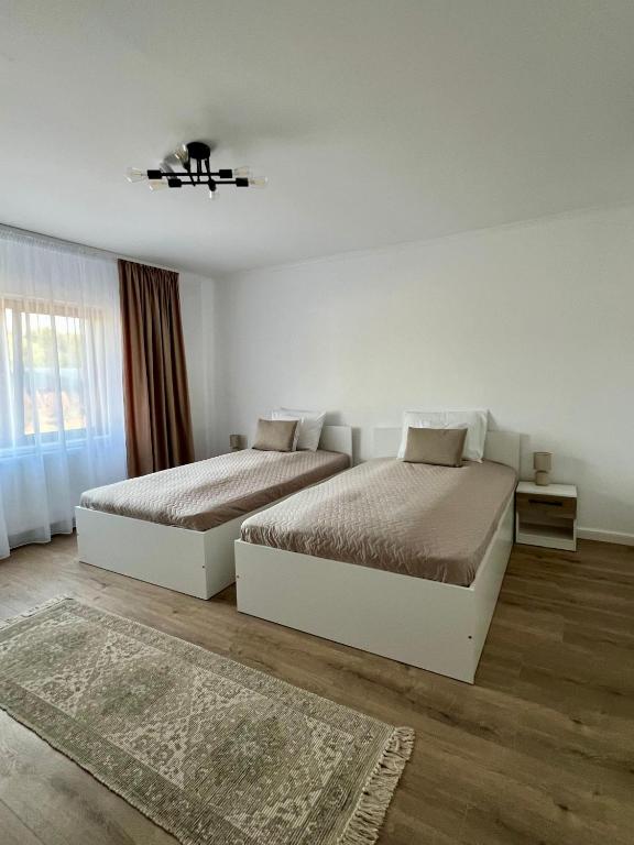 a bedroom with two beds and a window at Colt de Apuseni in Curăţele