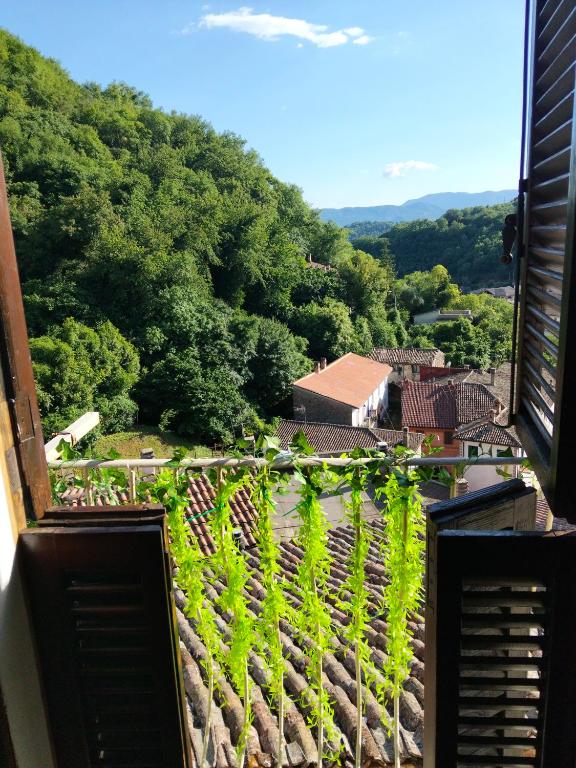a view from the balcony of a building with trees at Monolocali Tra Rieti e Terminillo e lago del Salto in Terminillo