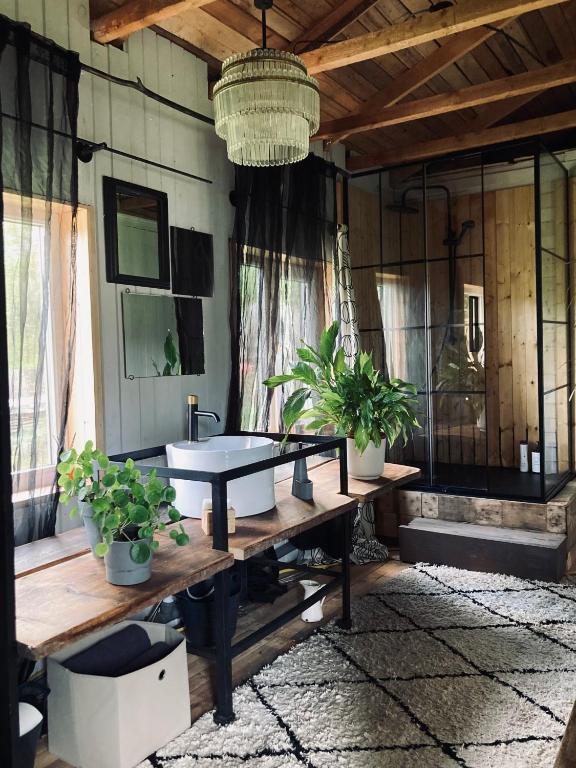 a room with a table and potted plants at Pelēkā Māja, forestside getaway house for cosy stays in Myza Brenguli